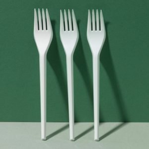 Plastic Fork