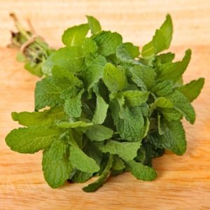 Mint Leaf
